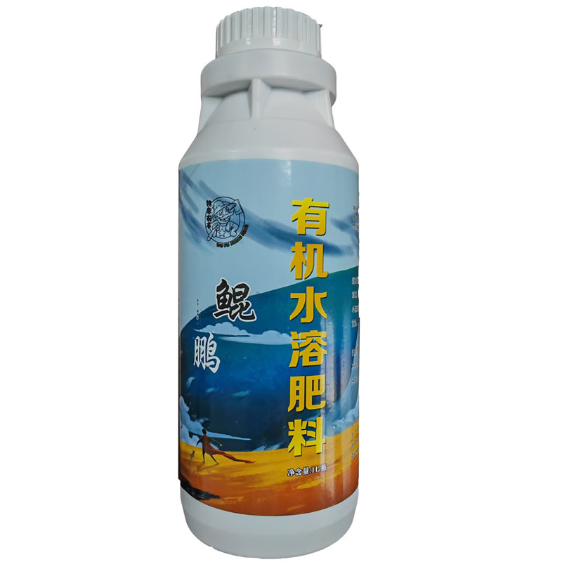 鯤鵬